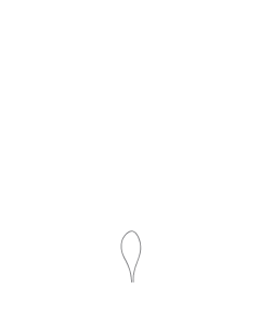 LOCATOR FIXED® Removal Tip Loop