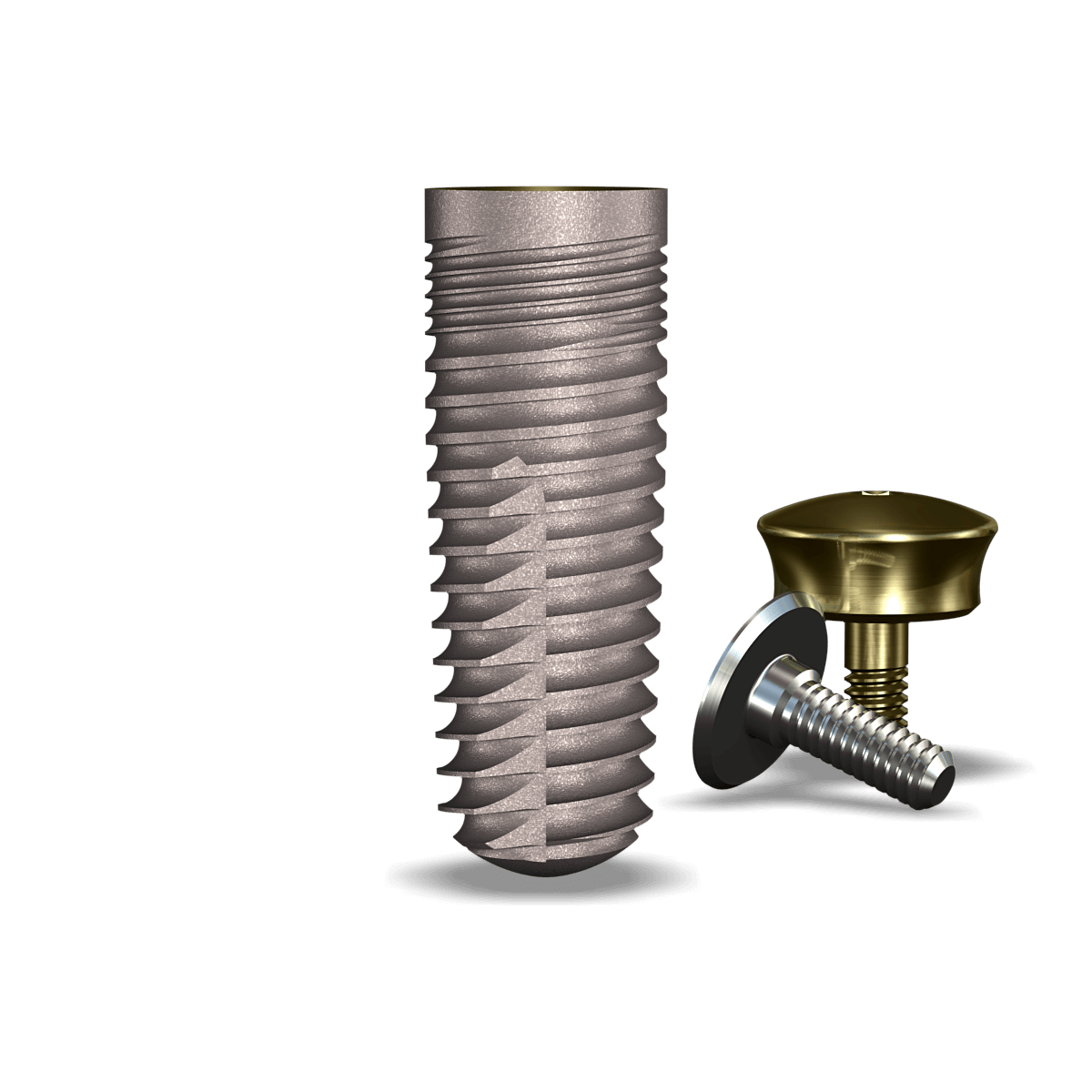 simplyLegacy2™ 5.7mmDx16mmL SBM: 5.7mmD Platform Dental Implant System - 1/Pack