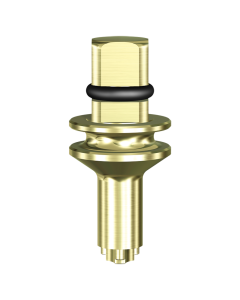 GoDirect Implant Insertion Tool
