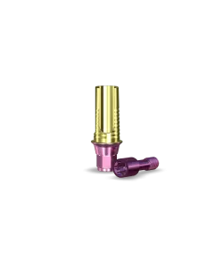 6530-81NT